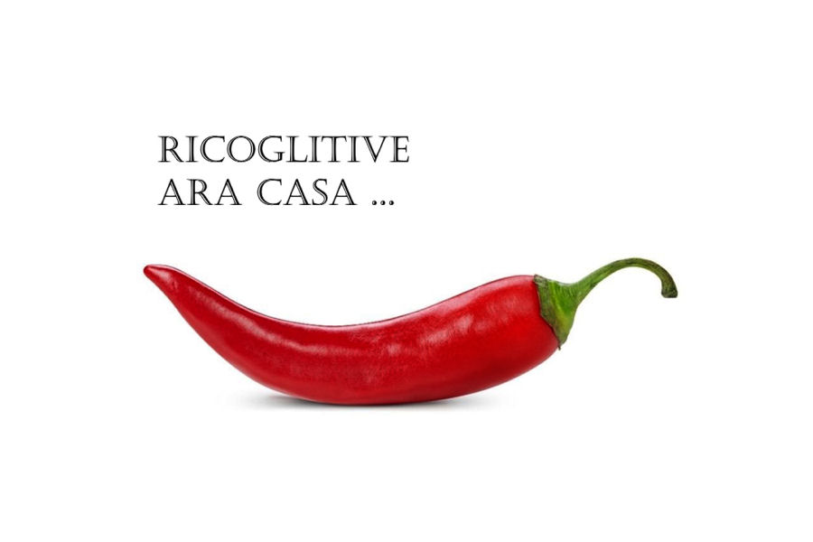 Ricoglitive ara Casa