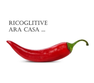 Ricoglitive ara Casa