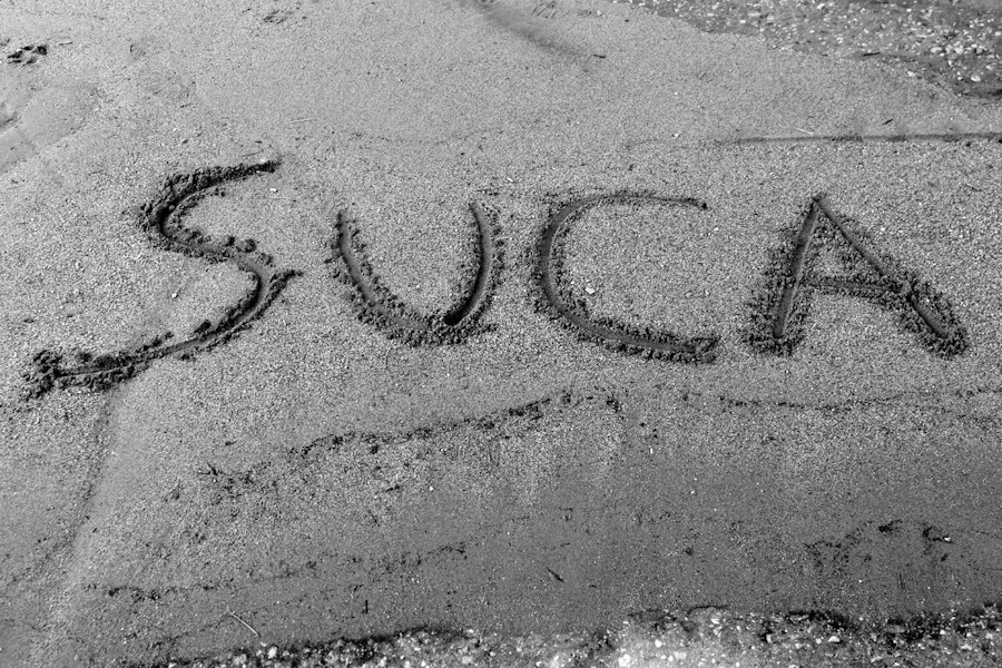 suca2.jpg