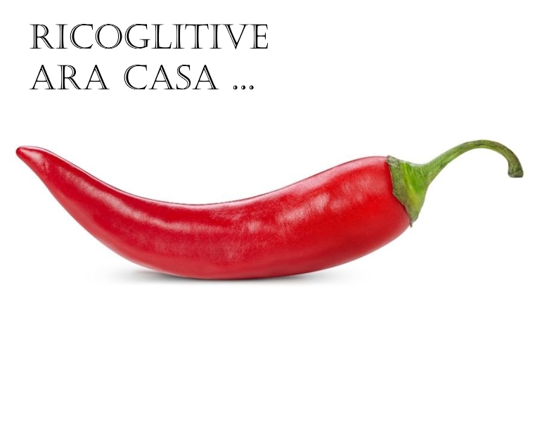 Ricoglitive ara Casa